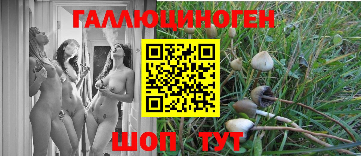 Артёмовский  Псилоцибиновые грибы прущие грибы  Вход с VPN 