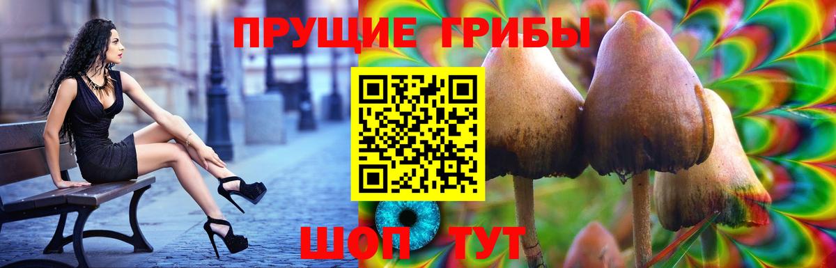 Псилоцибиновые грибы GOLDEN TEACHER Артёмовский